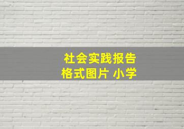 社会实践报告格式图片 小学